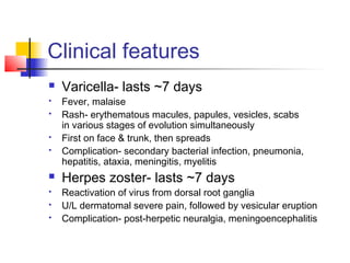 Clinical features
 Varicella- lasts ~7 days
 Fever, malaise
 Rash- erythematous macules, papules, vesicles, scabs
in various stages of evolution simultaneously
 First on face & trunk, then spreads
 Complication- secondary bacterial infection, pneumonia,
hepatitis, ataxia, meningitis, myelitis
 Herpes zoster- lasts ~7 days
 Reactivation of virus from dorsal root ganglia
 U/L dermatomal severe pain, followed by vesicular eruption
 Complication- post-herpetic neuralgia, meningoencephalitis
 