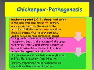 Incubation period (10-21 days): replication
in the local lymphoid tissue primary
viremia-disseminates the virus to the
reticuloendothelial system secondary
viremia spreads virus to body surfaces
leading to widespread cutaneous lesions
During the late incubation period-VZV
transported back to the mucosa of the upper
respiratory tract & oropharynx, permitting
spread to susceptible contacts 1-2 days
before the appearance of rash
Host immune responses limit viral replication
and facilitate recovery from infection
Immunocompromised child-continued viral
replication -disseminated infection
 