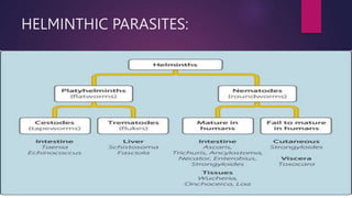 VIRAL, FUNGAL AND PARASITIC INFECTIONS.pptx