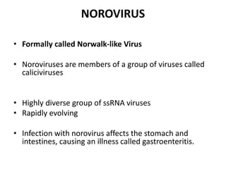 NOROVIRUS
• Formally called Norwalk-like Virus
• Noroviruses are members of a group of viruses called
caliciviruses
• Highly diverse group of ssRNA viruses
• Rapidly evolving
• Infection with norovirus affects the stomach and
intestines, causing an illness called gastroenteritis.
 