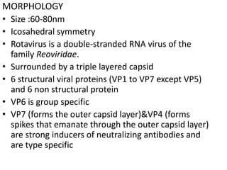 MORPHOLOGY
• Size :60-80nm
• Icosahedral symmetry
• Rotavirus is a double-stranded RNA virus of the
family Reoviridae.
• Surrounded by a triple layered capsid
• 6 structural viral proteins (VP1 to VP7 except VP5)
and 6 non structural protein
• VP6 is group specific
• VP7 (forms the outer capsid layer)&VP4 (forms
spikes that emanate through the outer capsid layer)
are strong inducers of neutralizing antibodies and
are type specific
 