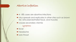 Abortive infection
 4 - 8% cases are abortive infections
 virus spreads and replicates in other sites such as brown
fat, reticuloendothelial tissue, and muscles
 causes secondary viremia
symptoms
 fever
 headache
 sore throat
 