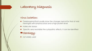 Laboratory Diagnosis
Virus isolation:
 Cerebrospinal fluid usually show the changes typical for that of viral
meningitis with lymphocytosis and a high protein level
 molecular assays
 Specific sera neutralize the cytopathic effects, it can be identified
Serology:
 not widely used
 