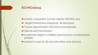 ECHOvirus
 enteric cytopathic human orphan (ECHO) virus
 largest Enterovirus subgroup, 34 serotypes
 Cause opportunistic infections and diseases
 faecal-oral transmission
 its primary target is children and immuno compromised
people
 resistant to pH (3-10) and are ether and alcohol
 
