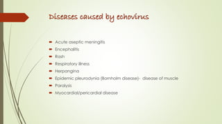 Diseases caused by echovirus
 Acute aseptic meningitis
 Encephalitis
 Rash
 Respiratory illness
 Herpangina
 Epidemic pleurodynia (Bornholm disease)- disease of muscle
 Paralysis
 Myocardial/pericardial disease
 