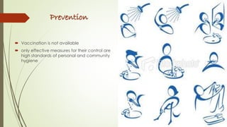 Prevention
 Vaccination is not available
 only effective measures for their control are
high standards of personal and community
hygiene
 