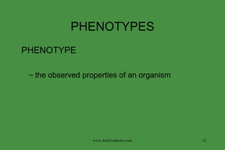 PHENOTYPES PHENOTYPE the observed properties of an organism www.freelivedoctor.com 