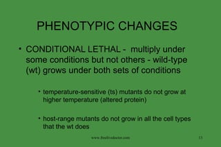 PHENOTYPIC CHANGES  CONDITIONAL LETHAL -  multiply under some conditions but not others - wild-type (wt) grows under both sets of conditions temperature-sensitive (ts) mutants do not grow at higher temperature (altered protein) host-range mutants do not grow in all the cell types that the wt does www.freelivedoctor.com 