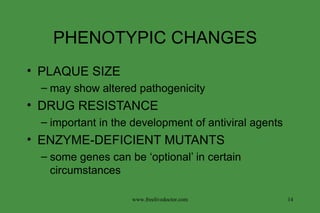 PHENOTYPIC CHANGES  PLAQUE SIZE may show altered pathogenicity DRUG RESISTANCE important in the development of antiviral agents ENZYME-DEFICIENT MUTANTS some genes can be ‘optional’ in certain circumstances www.freelivedoctor.com 