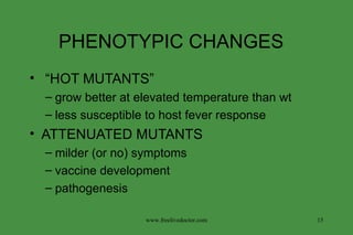 PHENOTYPIC CHANGES  “ HOT MUTANTS” grow better at elevated temperature than wt less susceptible to host fever response ATTENUATED MUTANTS milder (or no) symptoms vaccine development pathogenesis www.freelivedoctor.com 