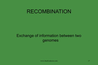 RECOMBINATION Exchange of information between two genomes www.freelivedoctor.com 