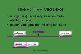 DEFECTIVE VIRUSES lack gene(s) necessary for a complete infectious cycle ‘ helper’ virus provides missing functions www.freelivedoctor.com package me! copy me! package me! copy me! genome 