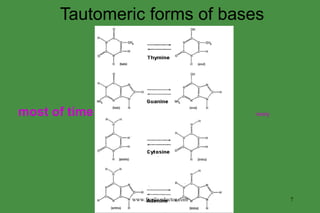 Tautomeric forms of bases most of time rarely www.freelivedoctor.com 