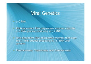 Viral Genetics
 (+) RNA

 RNA-dependent RNA polymerase enzymes copy the
  (+) RNA genome producing ss (-) RNA

 RNA-dependent RNA polymerase enzymes then copy
  the (-) RNA strands producing ss (+) RNA viral
  genome

 Picornaviruses, Togaviruses, and Coronaviruses
 
