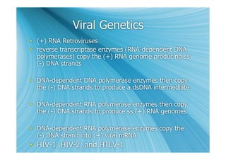 Viral Genetics
 (+) RNA Retroviruses
 reverse transcriptase enzymes (RNA-dependent DNA
  polymerases) copy the (+) RNA genome producing ss
  (-) DNA strands

 DNA-dependent DNA polymerase enzymes then copy
  the (-) DNA strands to produce a dsDNA intermediate

 DNA-dependent RNA polymerase enzymes then copy
  the (-) DNA strands to produce ss (+) RNA genomes

 DNA-dependent RNA polymerase enzymes copy the
  (-) DNA strand into (+) viral mRNA
 HIV-1, HIV-2, and HTLV-1
 