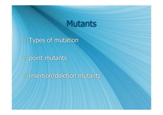 Mutants
 Types of mutation

 point mutants

 insertion/deletion mutants
 