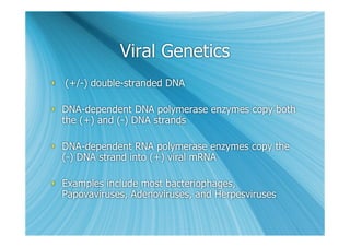 Viral Genetics
 (+/-) double-stranded DNA

 DNA-dependent DNA polymerase enzymes copy both
  the (+) and (-) DNA strands

 DNA-dependent RNA polymerase enzymes copy the
  (-) DNA strand into (+) viral mRNA

 Examples include most bacteriophages,
  Papovaviruses, Adenoviruses, and Herpesviruses
 