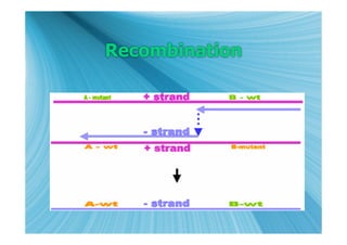 Recombination
 