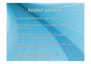Applied genetics
 vaccine called Flumist for influenza virus

 The vaccine is trivalent – it contains 3 strains of
  influenza virus

 cold adapted strains: grow well at 25 degrees C
  ,grow in the upper respiratory tract

 temperature-sensitive and grow poorly in the warmer
  lower respiratory tract

 viruses are attenuated strains and much less
  pathogenic than wild-type virus
 