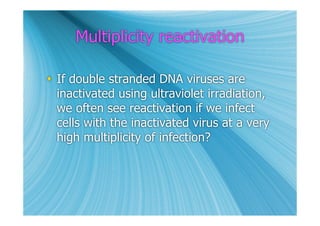 Multiplicity reactivation

 If double stranded DNA viruses are
  inactivated using ultraviolet irradiation,
  we often see reactivation if we infect
  cells with the inactivated virus at a very
  high multiplicity of infection?
 