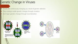 Genetic Change in Viruses
 Viruses are continuously changing as a result of genetic selection.
 They undergo subtle genetic changes through mutation.
 And major genetic changes through recombination.
 