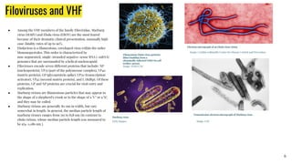 A Presentation on the Aetiology, Epidemiology and Management of Viral ...
