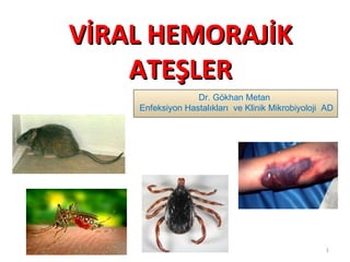 VİRAL HEMORAJİK
    ATEŞLER
                  Dr. Gökhan Metan
    Enfeksiyon Hastalıkları ve Klinik Mikrobiyoloji AD




                                                    1
 