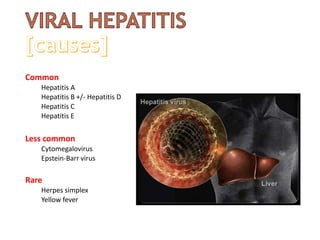 Common
Hepatitis A
Hepatitis B +/- Hepatitis D
Hepatitis C
Hepatitis E
Less common
Cytomegalovirus
Epstein-Barr virus
Rare
Herpes simplex
Yellow fever
 