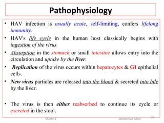 Pathophysiology
• HAV infection is usually acute, self-limiting, confers lifelong
immunity.
• HAV's life cycle in the human host classically begins with
ingestion of the virus.
• Absorption in the stomach or small intestine allows entry into the
circulation and uptake by the liver.
• Replication of the virus occurs within hepatocytes & GI epithelial
cells.
• New virus particles are released into the blood & secreted into bile
by the liver.
• The virus is then either reabsorbed to continue its cycle or
excreted in the stool.
05/01/13 Mohammed Adem
20
 