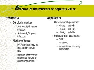 Hepatitis A
• Serologic marker
– Anti-HAVIgM: recent
infection
– Anti-HAVIgG: past
infection
• Marker of feces
– HAV particles may be
detected by RIA or
IEM
– Isolation of HAV may
use tissue culture or
animal inoculation
Hepatitis B
• Sero-immunologic marker
– HBsAg anti-HBs
– HBcAg anti-HBc
– HBeAg anti-Hbe
• Molecular biological marker
– DNAp
– HBV DNA
– Immune tissue chemistry
examination
Detection of the markers of hepatitis virus:
 
