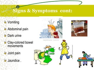 Signs & Symptoms cont:
Vomiting
Abdominal pain
Dark urine
Clay-colored bowel
movements
Joint pain
Jaundice .
 