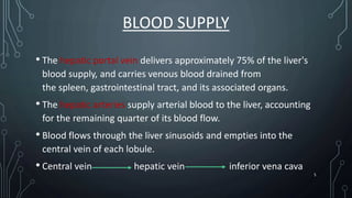 BLOOD SUPPLY
• The hepatic portal vein delivers approximately 75% of the liver's
blood supply, and carries venous blood drained from
the spleen, gastrointestinal tract, and its associated organs.
• The hepatic arteries supply arterial blood to the liver, accounting
for the remaining quarter of its blood flow.
• Blood flows through the liver sinusoids and empties into the
central vein of each lobule.
• Central vein hepatic vein inferior vena cava
5
 