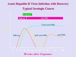 Symptoms
HBeAg anti-HBe
Total anti-HBc
IgM anti-HBc anti-HBsHBsAg
0 4 8 12 16 20 24 28 32 36 52 100
Acute Hepatitis B Virus Infection withAcute Hepatitis B Virus Infection with RecoveryRecovery
Typical Serologic CourseTypical Serologic Course
Weeks after Exposure
Titre
 