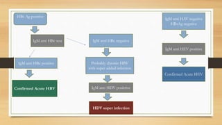 HBs Ag positive
IgM anti HBc test
IgM anti HBc positive
Confirmed Acute HBV
IgM anti HBc negative
Probably chronic HBV
with super added infection
IgM anti HDV positrive
HDV super infection
IgM anti HAV negative
HBsAg negative
IgM anti HEV positive
Confirmed Acute HEV
 