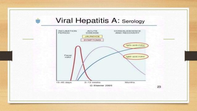 hepatitis a transmission mode hepatitis a transmission mode