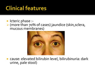  Icteric phase :-
 (more than 70% of cases) jaundice (skin,sclera,
mucous membranes)
 cause: elevated bilirubin level, bilirubinuria: dark
urine, pale stool)
 