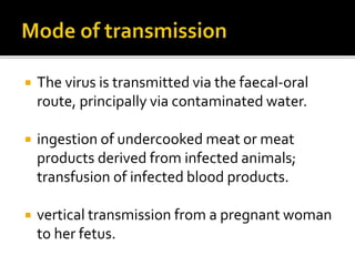  The virus is transmitted via the faecal-oral
route, principally via contaminated water.
 ingestion of undercooked meat or meat
products derived from infected animals;
transfusion of infected blood products.
 vertical transmission from a pregnant woman
to her fetus.
 