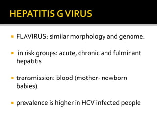  FLAVIRUS: similar morphology and genome.
 in risk groups: acute, chronic and fulminant
hepatitis
 transmission: blood (mother- newborn
babies)
 prevalence is higher in HCV infected people
 