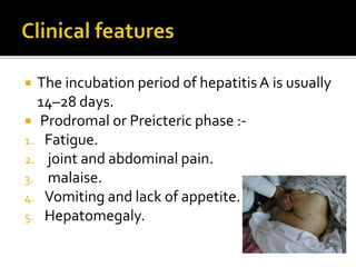  The incubation period of hepatitisA is usually
14–28 days.
 Prodromal or Preicteric phase :-
1. Fatigue.
2. joint and abdominal pain.
3. malaise.
4. Vomiting and lack of appetite.
5. Hepatomegaly.
 
