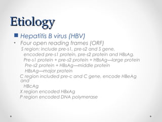 EtiologyEtiology
 Hepatitis B virus (HBV)
• Four open reading frames (ORF)
S region: include pre-s1, pre-s2 and S gene,
encoded pre-s1 protein, pre-s2 protein and HBsAg.
Pre-s1 protein + pre-s2 protein + HBsAg—large protein
Pre-s2 protein + HBsAg—middle protein
HBsAg—major protein
C region included pre-c and C gene, encode HBeAg
and
HBcAg
X region encoded HBxAg
P region encoded DNA polymerase
 