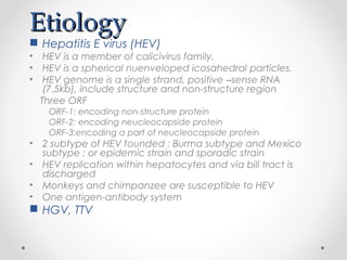 EtiologyEtiology
 Hepatitis E virus (HEV)
• HEV is a member of calicivirus family.
• HEV is a spherical nuenveloped icosahedral particles.
• HEV genome is a single strand, positive –sense RNA
(7.5kb), include structure and non-structure region
Three ORF
ORF-1: encoding non-structure protein
ORF-2: encoding neucleocapside protein
ORF-3:encoding a part of neucleocapside protein
• 2 subtype of HEV founded : Burma subtype and Mexico
subtype ; or epidemic strain and sporadic strain
• HEV replication within hepatocytes and via bill tract is
discharged
• Monkeys and chimpanzee are susceptible to HEV
• One antigen-antibody system
 HGV, TTV
 