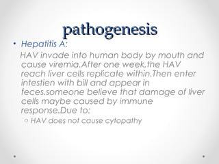 pathogenesispathogenesis
• Hepatitis A:
HAV invade into human body by mouth and
cause viremia.After one week,the HAV
reach liver cells replicate within.Then enter
intestien with bill and appear in
feces.someone believe that damage of liver
cells maybe caused by immune
response.Due to:
o HAV does not cause cytopathy
 