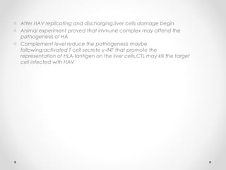 o After HAV replicating and discharging,liver cells damage begin
o Animal experiment proved that immune complex may attend the
pathogenesis of HA
o Complement level reduce the pathogenesis maybe
following:activated T cell secrete γ-INF that promote the
representation of HLA- antigen on the liver cells,CTL may kill the targetⅠ
cell infected with HAV
 