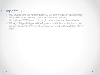• Hepatitis B:
o HBV invade into the human body by skin and mucosa,via blood flow
enter the liver and other organs such as pancreas,bill
duct,vessels,WBC,bone marrow,glomerular basement membrans
o HBcAg,HBsAg,HBeAg and HLA- appear on the liver cells infected withⅠ
are recognized by CTL simultaneously and lead to the cytolysis of liver
cells
 