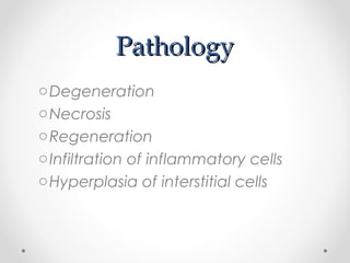 PathologyPathology
oDegeneration
oNecrosis
oRegeneration
oInfiltration of inflammatory cells
oHyperplasia of interstitial cells
 
