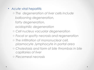 • Acute viral hepatitis
o The degeneration of liver cells include
ballooning degeneration,
fatty degeneration,
acidophilic degeneration
o Cell nucleus vacuolar degeneration
o Focal or spotty necrosis and regeneration
o The infiltration of mononuclear cell,
plasmocyte ,lymphocyte in portal area
o Cholestasis and form of bile thrombas in bile
capillaries of liver
o Piecemeal necrosis
 