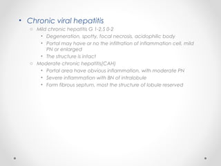 • Chronic viral hepatitis
o Mild chronic hepatitis G 1-2,S 0-2
• Degeneration, spotty, focal necrosis, acidophilic body
• Portal may have or no the infiltration of inflammation cell, mild
PN or enlarged
• The structure is intact
o Moderate chronic hepatitis(CAH)
• Portal area have obvious inflammation, with moderate PN
• Severe inflammation with BN of intralobule
• Form fibrous septum, most the structure of lobule reserved
 