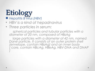 EtiologyEtiology
 Hepatitis B virus (HBV)
• HBV is a kind of hepadnavirus
• Three particles in serum:
spherical particles and tubular particles with a
diameter of 20 nm, composed of HBsAg
large particles with a diameter of 42 nm, named
Dane particle. It consists of an outer protein shell
(envelope, contain HBsAg) and an inner body
( core, contain HBcAg, HBeAg, HBV-DNA and DNAP
)
 