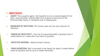  Agent factors
a) AGENT: The causative agent, the hepatitis A virus is nonenveloped 27 nm
heat, acid and ether resistant RNA virus of genus enterovirus of the
Picornaviridae family. It multiplies only in hepatocytes.
b) RESERVOIR OF INFECTION: The human cases are the only reservoir of
infection.
c) PERIOD OF INFECTIVITY : The risk of transmitting HAV is greatest from 2
weeks before to 1 week after the onset of jaundice.
d) INFECTIVE MATERIAL : Mainly human’s faeces.
e) VIRUS EXCRETION: HAV is excreted in the faeces for about 2 weeks before
onset of jaundice and for up to 2 weeks thereafter.
 