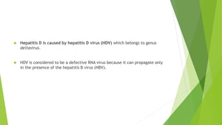 Hepatitis D is caused by hepatitis D virus (HDV) which belongs to genus
deltavirus.
 HDV is considered to be a defective RNA virus because it can propagate only
in the presence of the hepatitis B virus (HBV).
 
